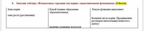 6. Заполни таблицу «Взаимосвязь строения зон корня с выполняемыми функциями