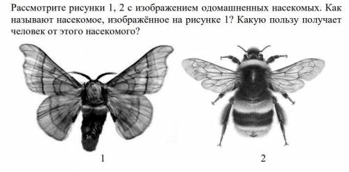 Биология. Все в файле