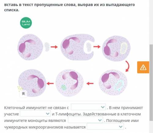 Вставь в текст пропущенные слова, выбрав их из выпадающего списка. ХЕЕЕЛПП