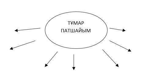 Казахский язык 5 класс: Жазбаша 85 бет 7тапсырма Сызбаны толтырып жаз