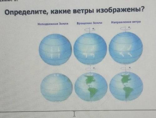 Определите какие ветры изображены ​