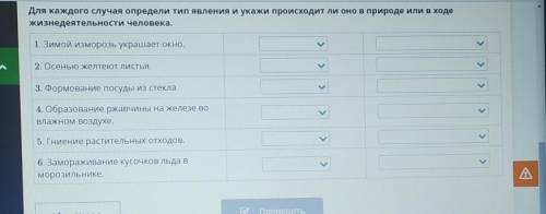 Для каждого случая определи тип явления и укажи происходит ли оно в природе или в ходе жизнедеятельн