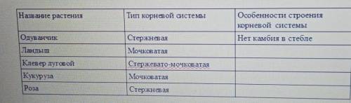 до делать таблицу! Мне её через пол часа отправить надо! ​