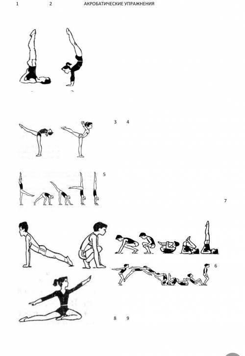 с физ-рой. Дайте определение гимнастическим упражнениям .​
