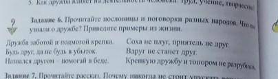 Задание 6. Прочитайте пословицы и поговорки разных народов. Что вы узнали о дружбе? Приведите пример