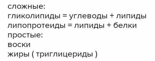 Приведите примеры простых и сложных липидов​