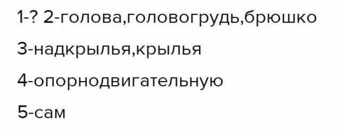 1. Внимательно рассмотрите строение зеленой бронзовки. С чем связана её окраска? 2. На какие отделы