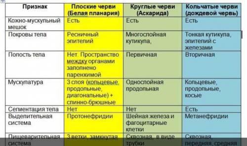 Сравните особенности строения планарии и дождевого червя (Желательно текстом)