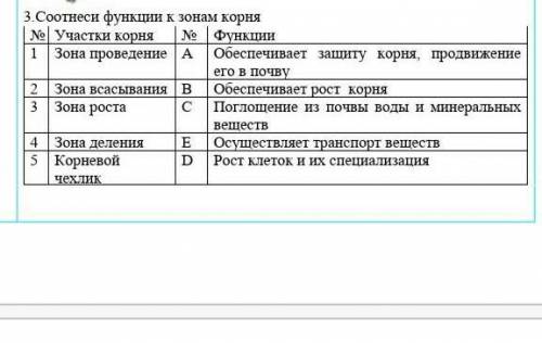 Соотнеси функции к зонам корня​