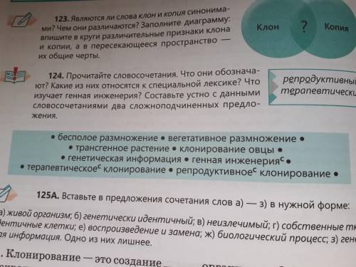 Прочитайте словосочетания. Что они обозначают? Какие из них относятся к специальной лексики ?Что изу