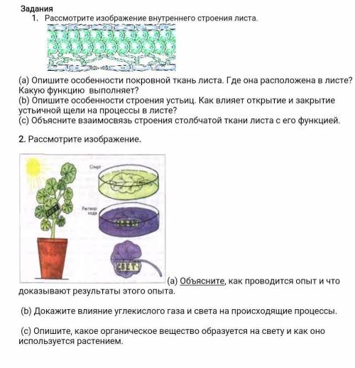 ОЧЕНЬ за развернутые ответы на все вопросы ​