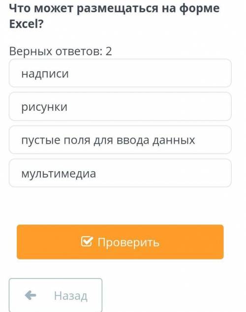 Что может размещаться на форме Excel ​