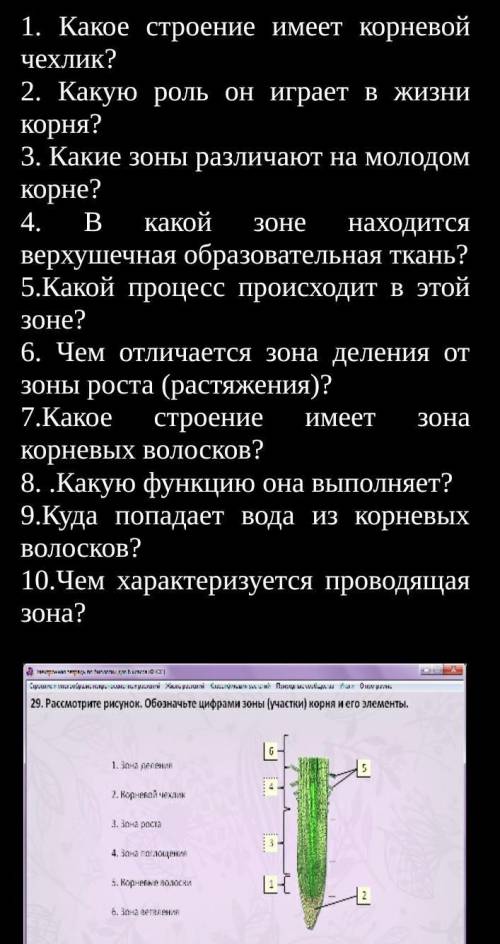 1. Какое строение имеет корневой чехлик?  2. Какую роль он играет в жизни корня? 3. Какие зоны разли