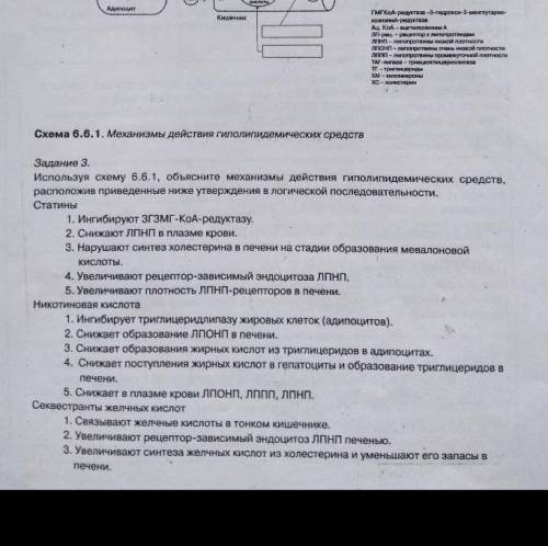 Please,I need help ( subject: pharmacology)