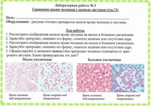 Лабораторная работа по биологии. ( сравнение крови человека с кровью лягушки )