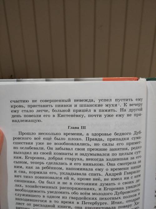 Цитаты из 2 главы дубровскогоочень прям