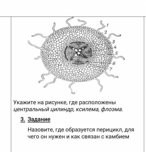 эти два задания решите, ​