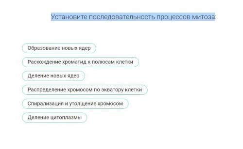 Установите последовательность процессов митоза