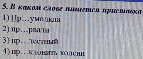 В каком слове пишется приставка при? ​