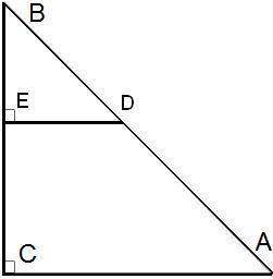 Геометрия 9 класс Дано: ΔBDE∼ΔBACBC=24DE = 5CA=25.Посчитай: EB= ?