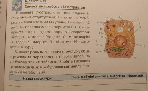 заполнить таблицу ​будьте так добры