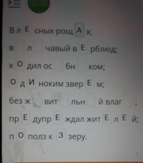 Пиши грамотно. Вставь пропущенные буквы.AВлЕсных рощАХ;Влчавый в Ерблюд;X ХОДИЛ ОсбнКОМ,оди ноким зв