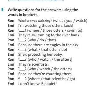 Write questions for the answers using the words in brackets​