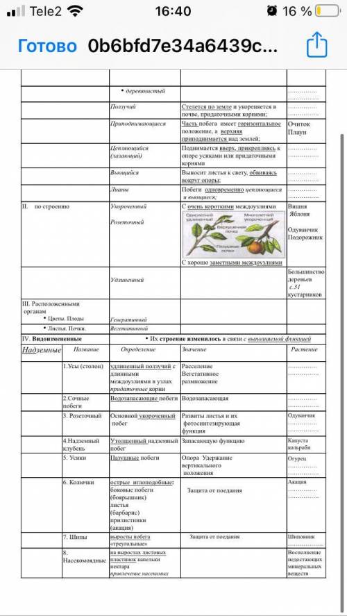 Заполните таблицу ПЛАЧУ