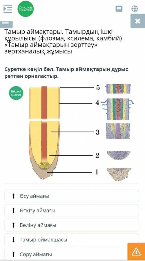 Биология сабағынан ОНЛАЙН МЕКТЕП ​