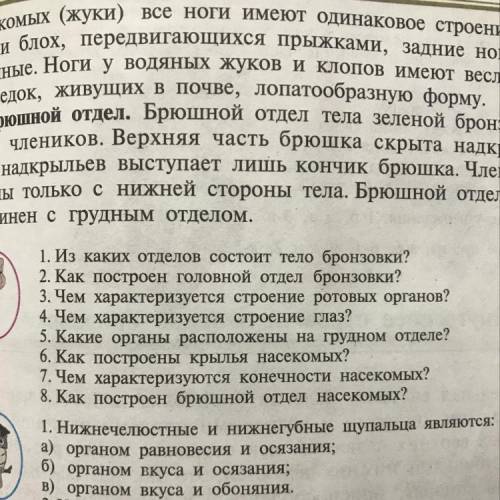 ответьте на эти вопросы с 1 по