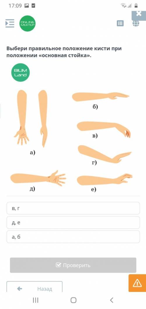 Выбери правильное положение кисти при положении «основная стойка». д, е а, б в, г