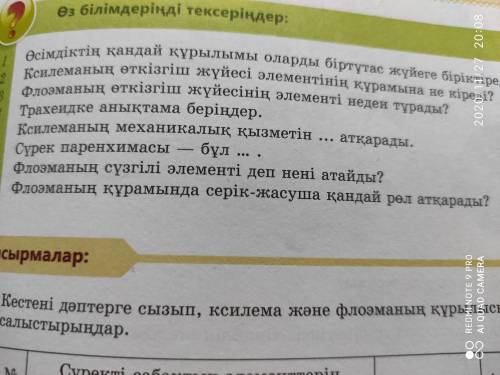 Осімдіктін кандай қурылымы оларды біртутас жуйеге біріктіреді