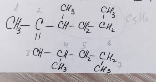 Напишите четыре изомеры по углеродному скелету и назавите. ​