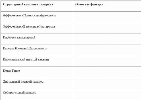 Заполните таблицу, указав основные функции компонентов нефрона! можете через - писать функции.