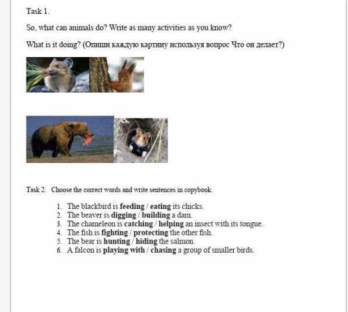 Task 1. So, what can animals do? Write as many activities as you know?What is it doing? (Опиши кажду