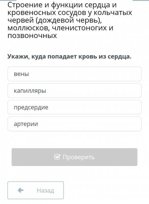 помагите. Укажи, куда попадает кровь из сердца.веныкапиллярыпредсердиеартерии​