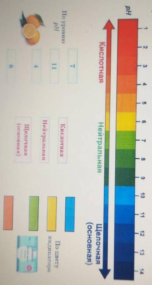 Используя шкалу ph универсального индекатора,проставьте соответствие растворов в среде​