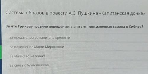 За что Гриневу грозило повешение, а в итоге - пожизненная ссылка в Сибирь?​