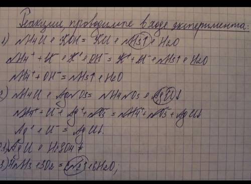 На занятии химического кружка Саша и Коля исследовали поведение металлов в растворах солей и провели