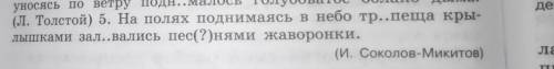 В 5 предложение найти деепричастие и сделать морфологичечкий разбор​