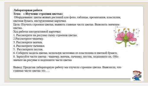 РЕБЯТ, очень вас, сделать мне лабораторную работа по биологии за неправильный ответ кидаю жалобу, ну