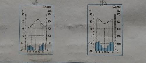 На рисунках зображено кліматодіаграми двох міст, що розташовані в субтропічних поясах Африки. Яке із