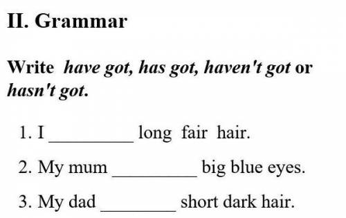 II. Grammar Write have got, has got, haven't got or hasn't got. 1. I long fair hair.2. My mum big