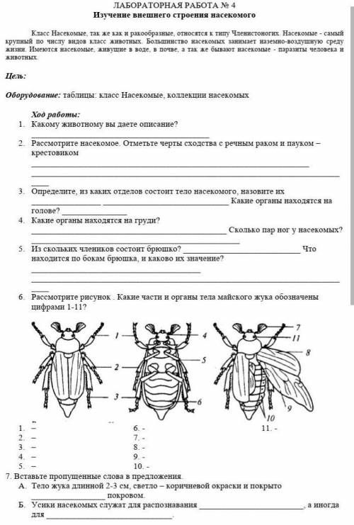 с лабораторной работой