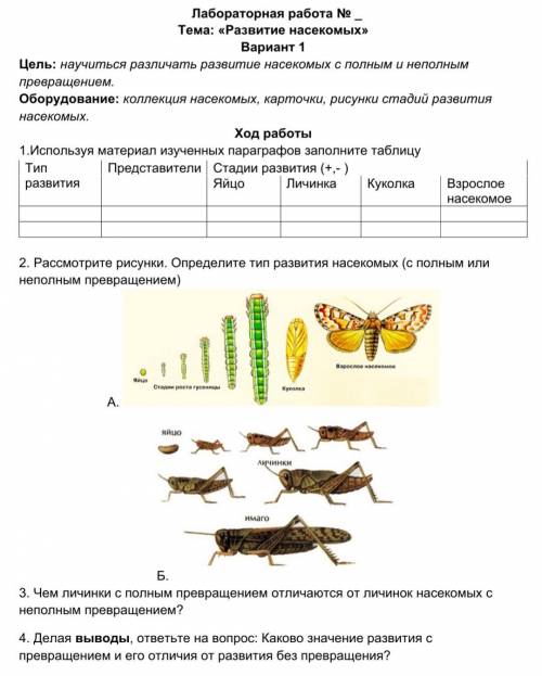 Решите Это лаб.работа