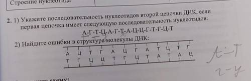 надо это просто переписать то что карандашом? или ещё что то делать? мне это задали просто​