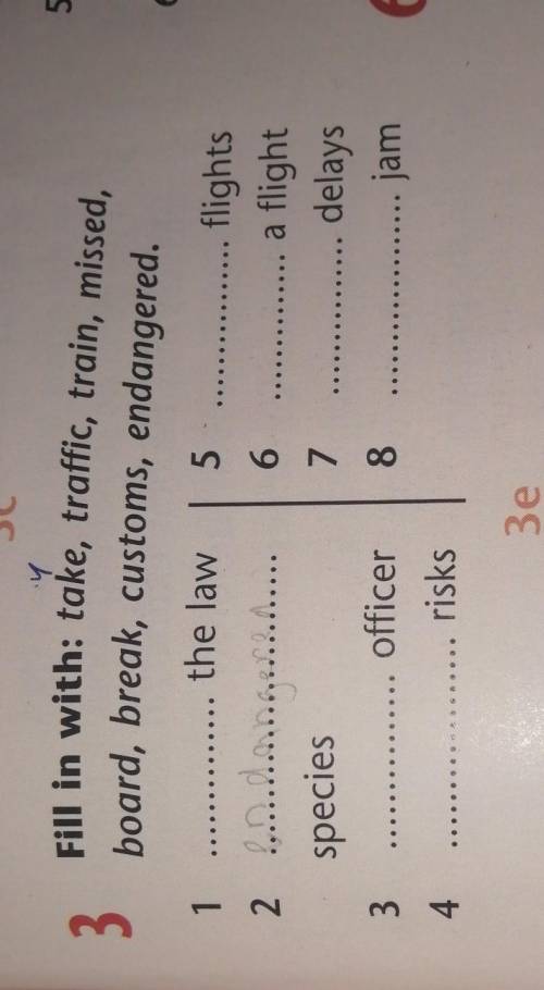 Exercise 3 page 115 Fill in with take, traffic, train, missed,board, break,customs, endangered​