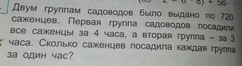 Двум группам садоводов было выдано по 720 саженцев. Первая группа садоводов посадилиВсе саженцы за 4