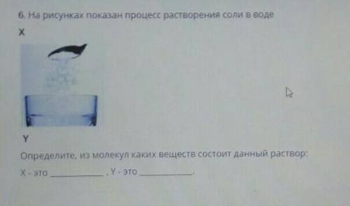 6. На рисунках показан процесс растворения соли в воде ХYОпределите, из молекул каких веществ состои