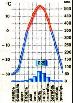 3.В климатограмме приведены показатели температуры и осадков. Определи климатический пояс. По данным